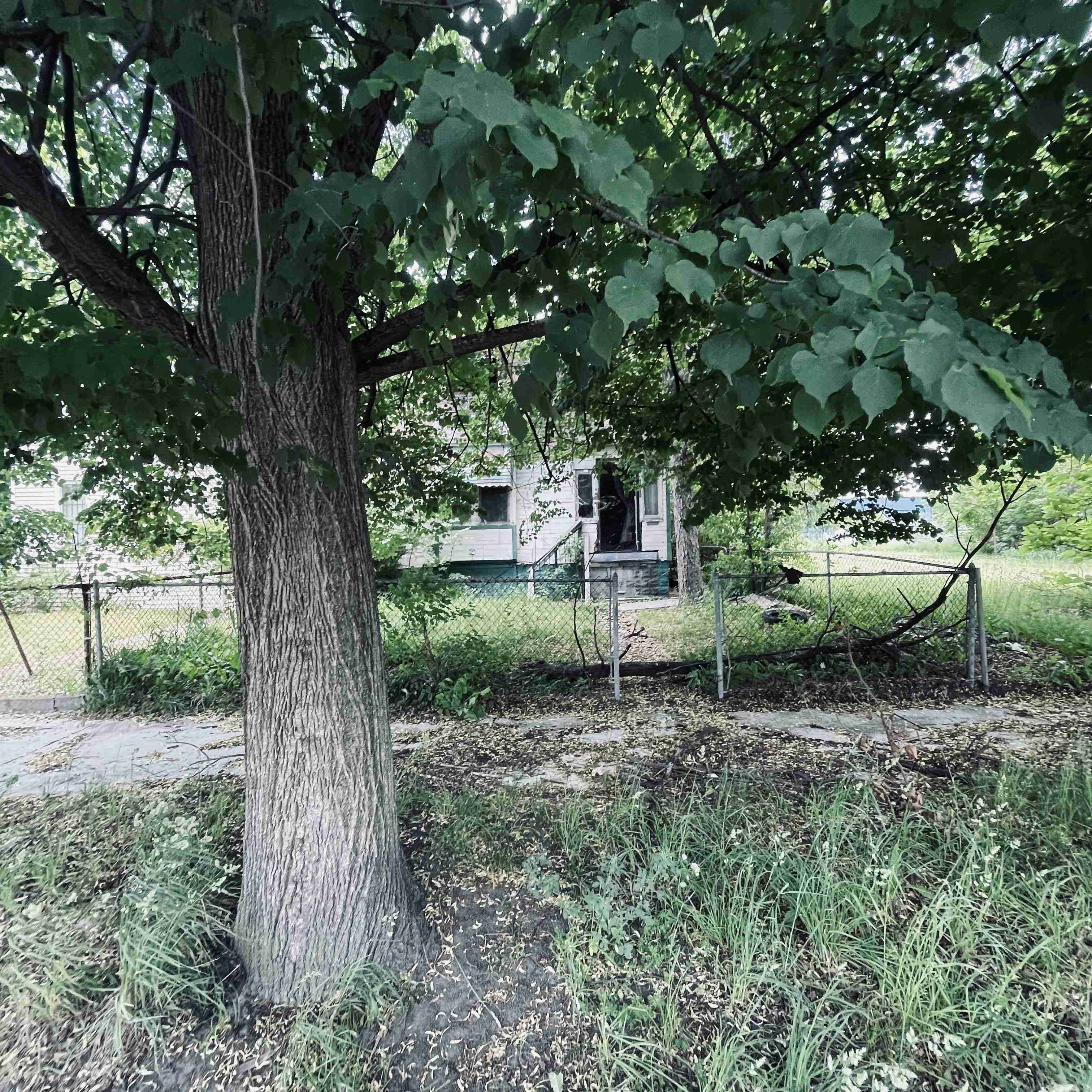 1060 Meldrum (2).jpg